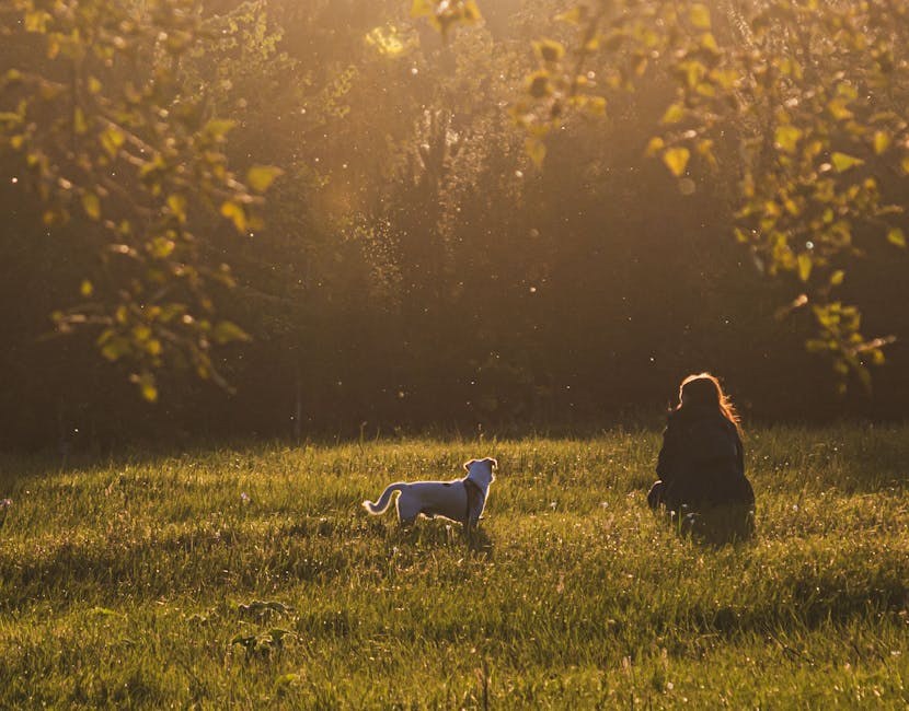 Kanadska zaklada podupire skrbnike pasa u borbi protiv karcinoma