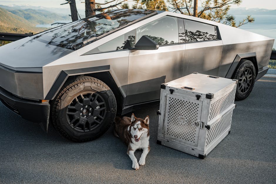 5 dobrobiti igranja sa psom