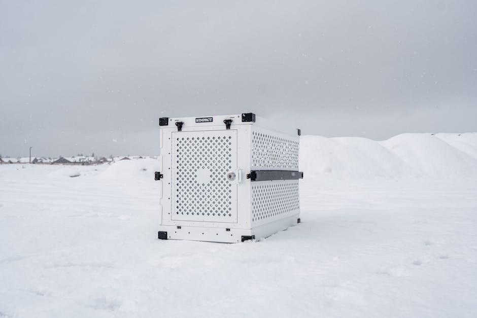 Deformacija prednje noge kod pasa: simptomi, uzroci i liječenje