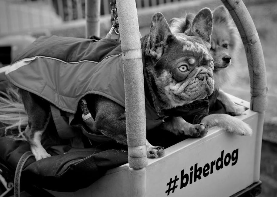 Smiju li psi jesti banane?