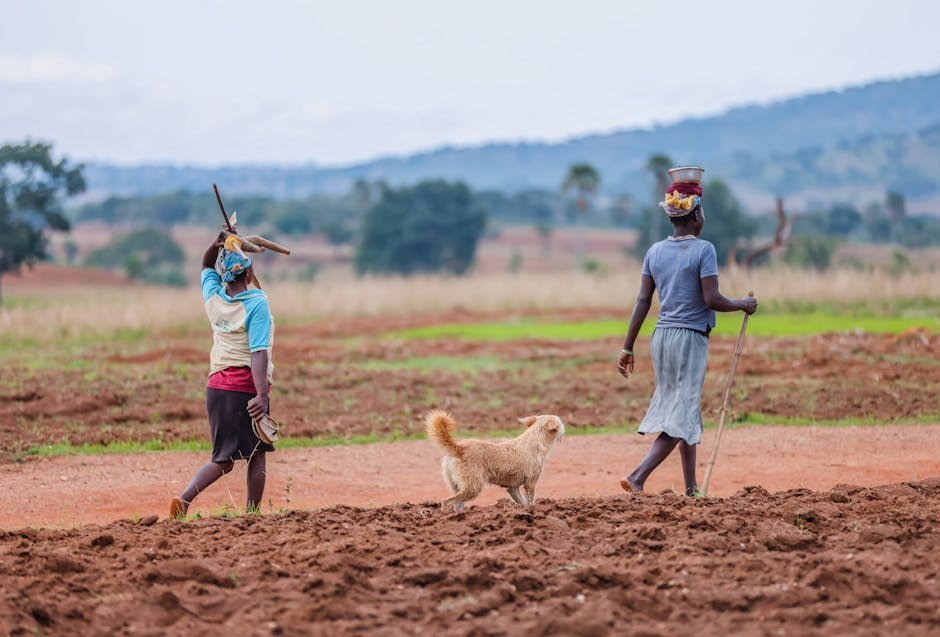 Opstrukcija jednjaka kod pasa: simptomi, uzroci i liječenje