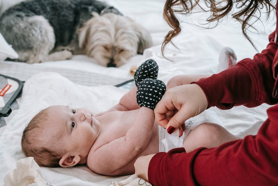 Dominantno ponašanje kod pasa: što je i kako na njega odgovoriti