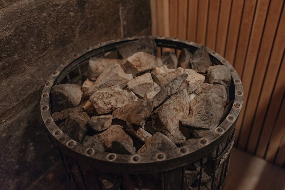 Višak magnezija u krvi pasa: simptomi, uzroci i liječenje