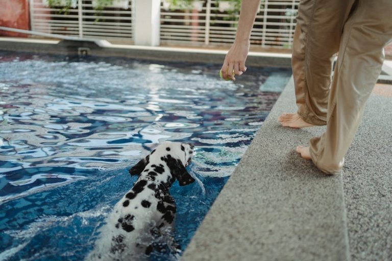 Hiperandrogenizam kod pasa: simptomi, uzroci i liječenje