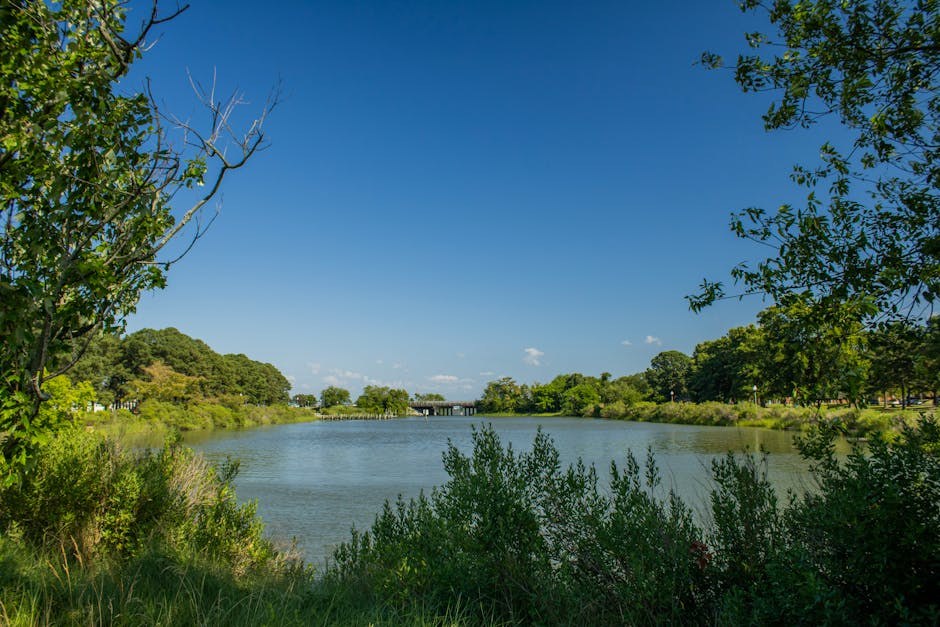 Zašto moj pas ima perut?