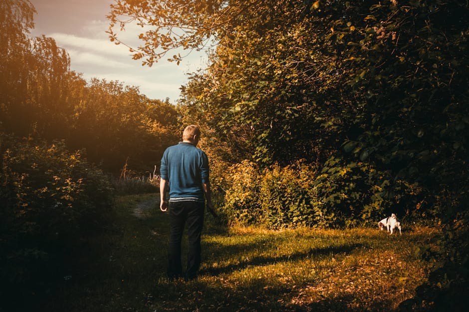 Prednosti organskih proizvoda za njegu pasa
