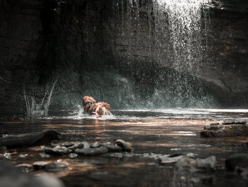 Psi i ostaci sa stola