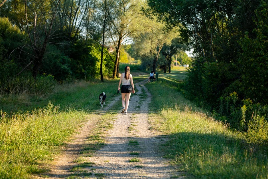 Moj pas je stao na pčelu