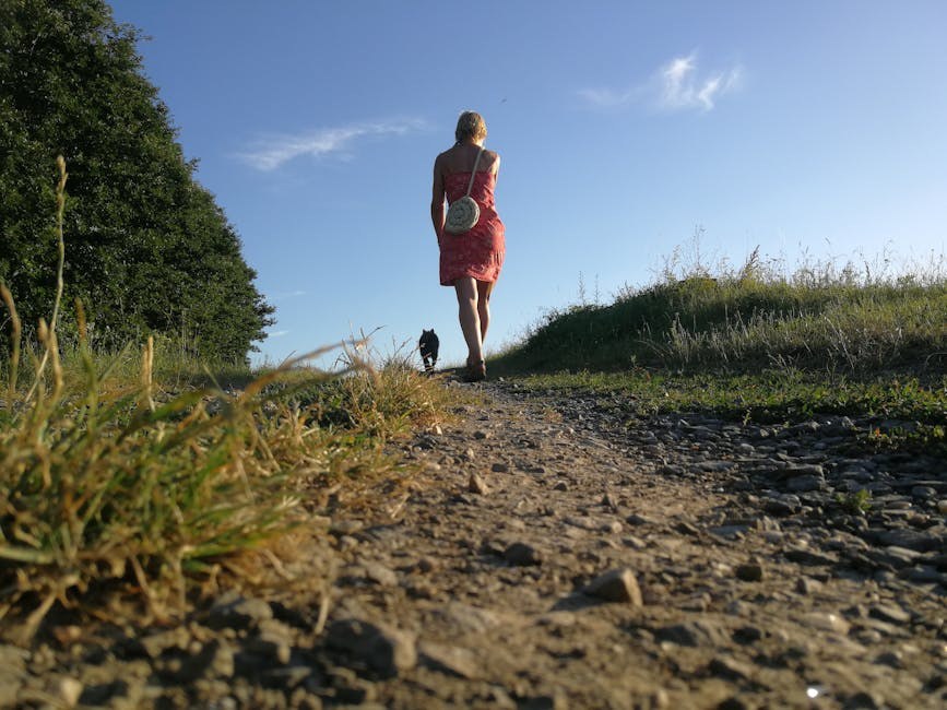 Hepatoportalna mikrovaskularna displazija kod pasa: simptomi, uzroci i liječenje