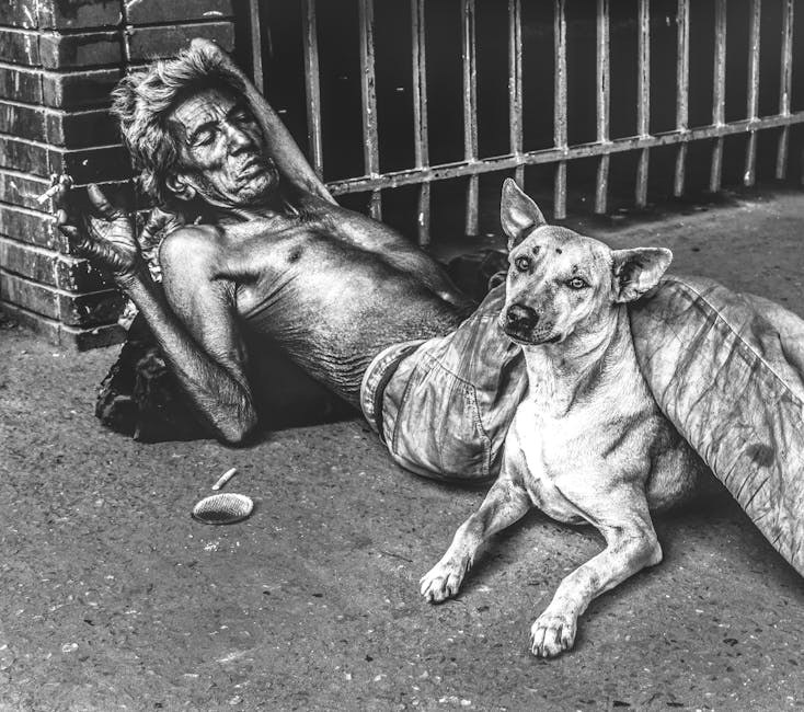 Kako vaš pas vidi svijet