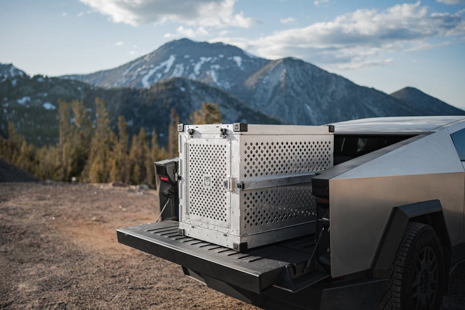 Zašto je socijalizacija toliko važna za pse