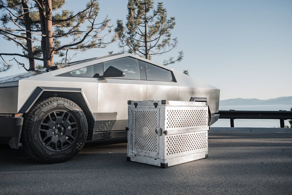 Mikotoksikoza - deoksinivalenol kod pasa: simptomi, uzroci i liječenje