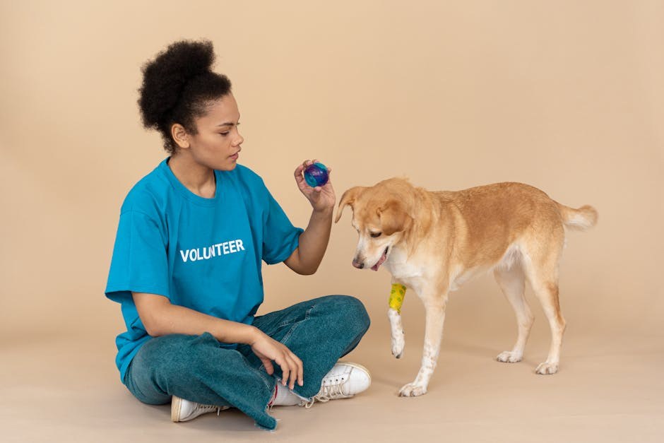 Najbolja ljudska hrana za pse