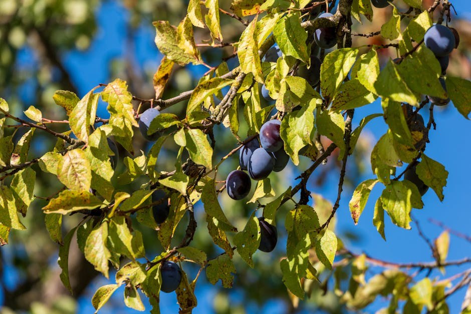 Vrući ljetni dani grizu - mogao bi i vaš pas
