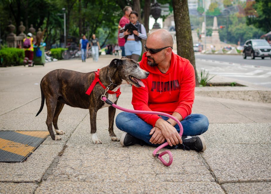 Vrući ljetni dani grizu - mogao bi i vaš pas