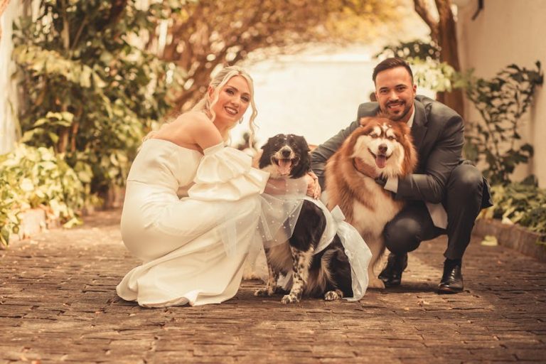 Kako održavati psa hidriranim