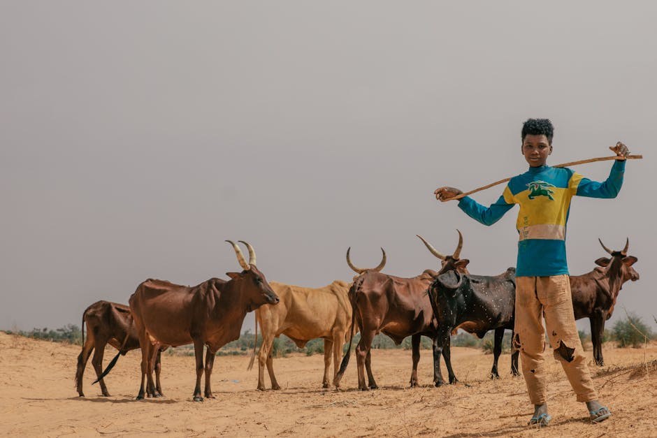 Pelvični mjehur kod pasa: simptomi, uzroci i liječenje