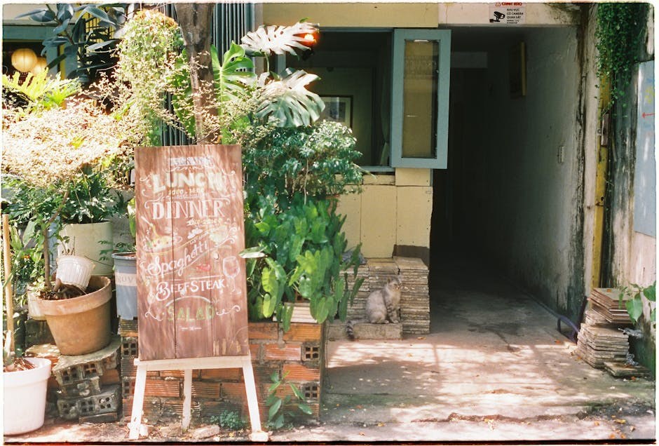 Upala nosa i sinusa kod pasa: simptomi, uzroci i liječenje