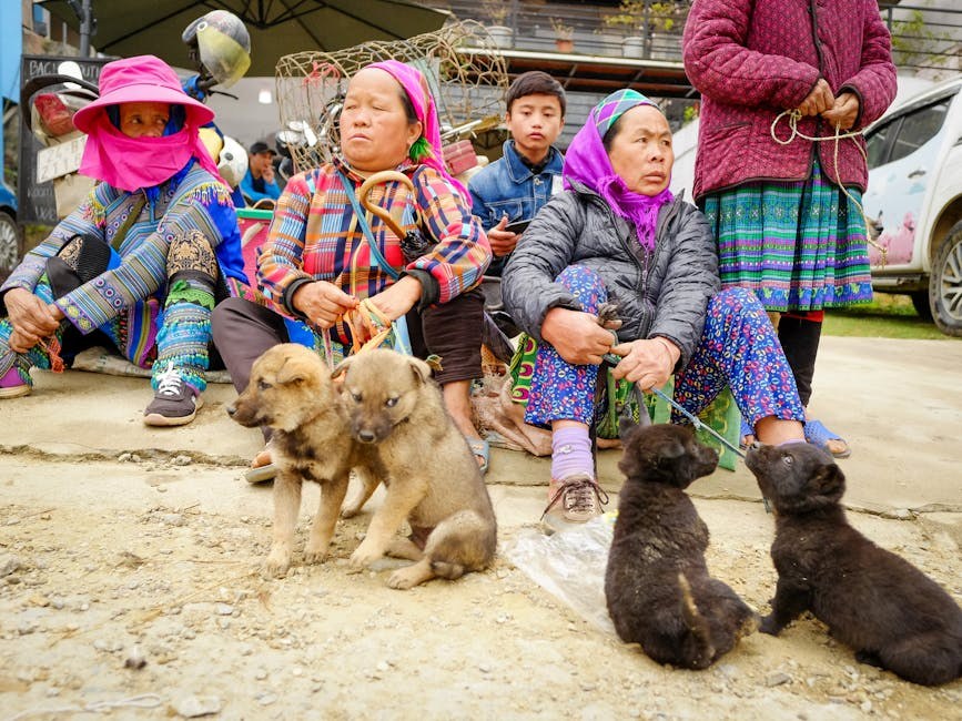 Problemi sa srčanim ritmom kod pasa: simptomi, uzroci i liječenje