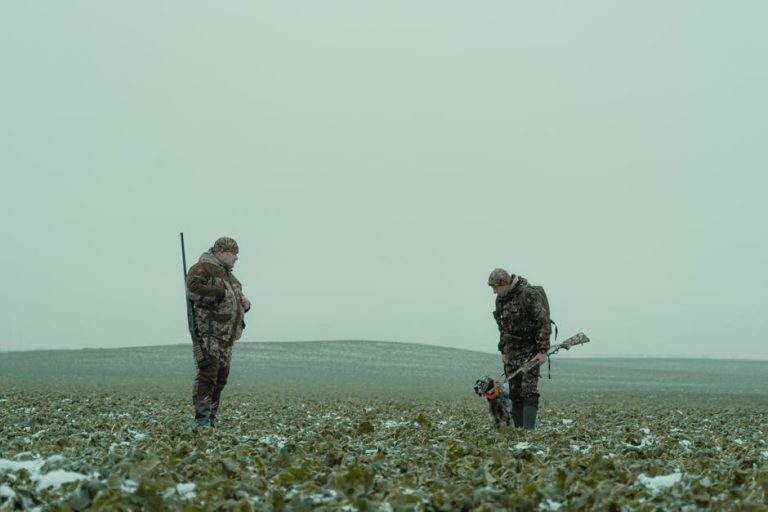 Maslinovo ulje za pse - smiju li ga i je li sigurno?