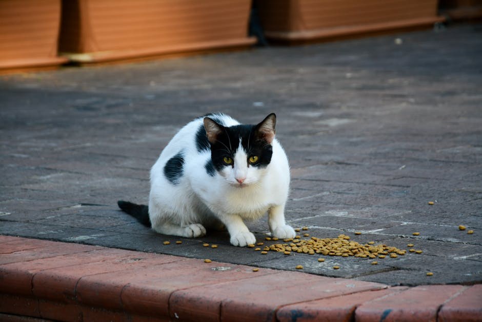 Neupalna nasljedna mišićna bolest pasa: simptomi, uzroci i liječenje