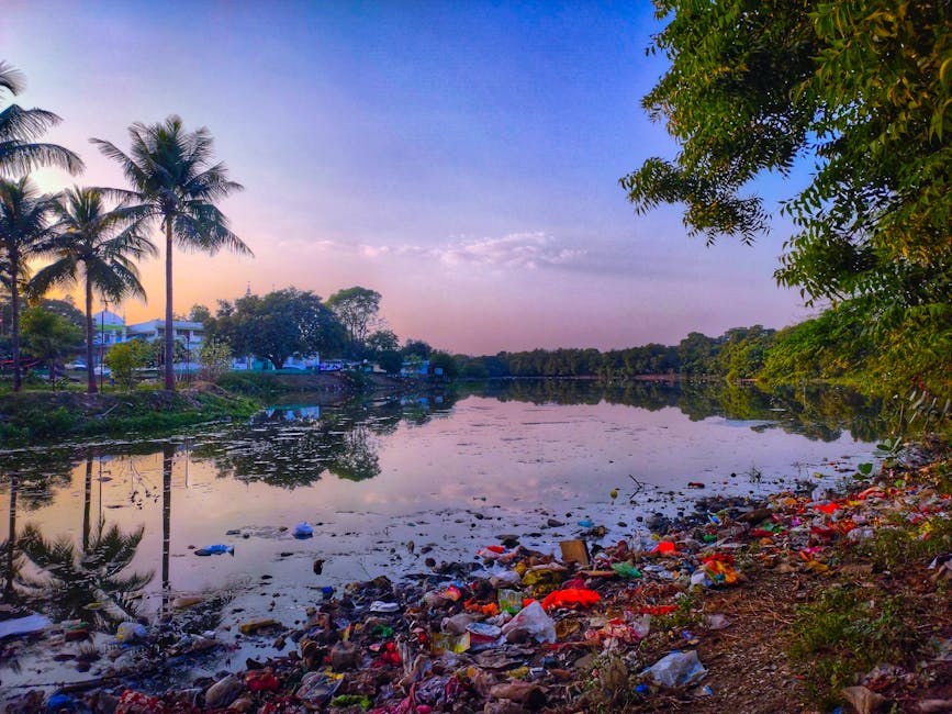 Smiju li psi jesti kadulju? Je li kadulja sigurna za pse?