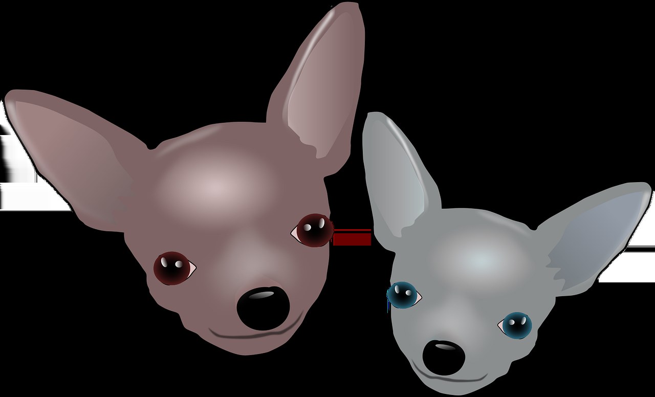 Psi pomažu istraživačima razumjeti kako rak utječe na ljude