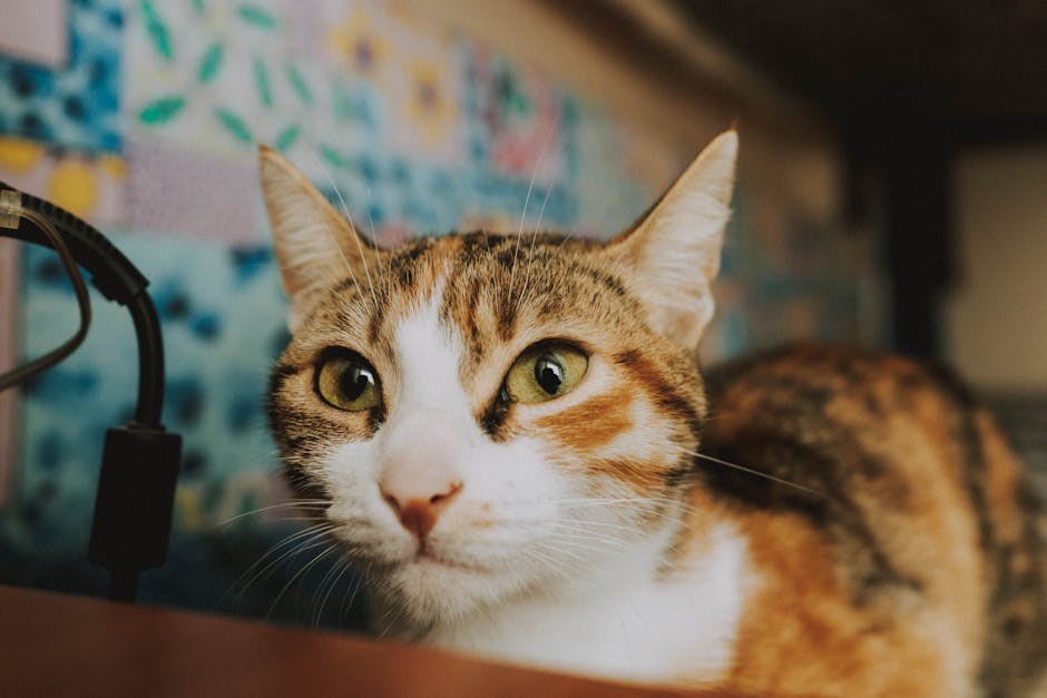 Psi pomažu istraživačima razumjeti kako rak utječe na ljude