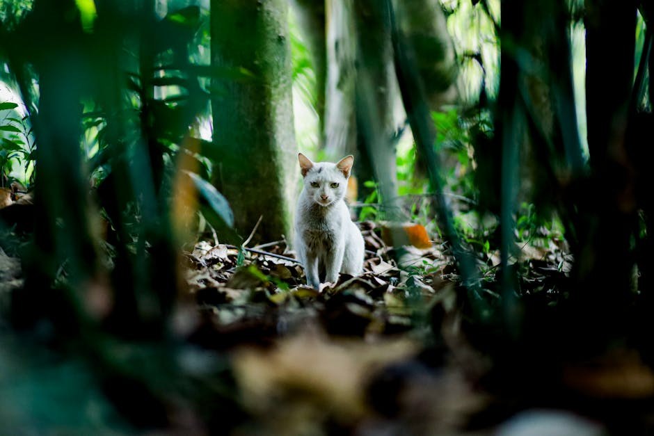 Smiju li psi jesti tempeh? Je li siguran za pse?