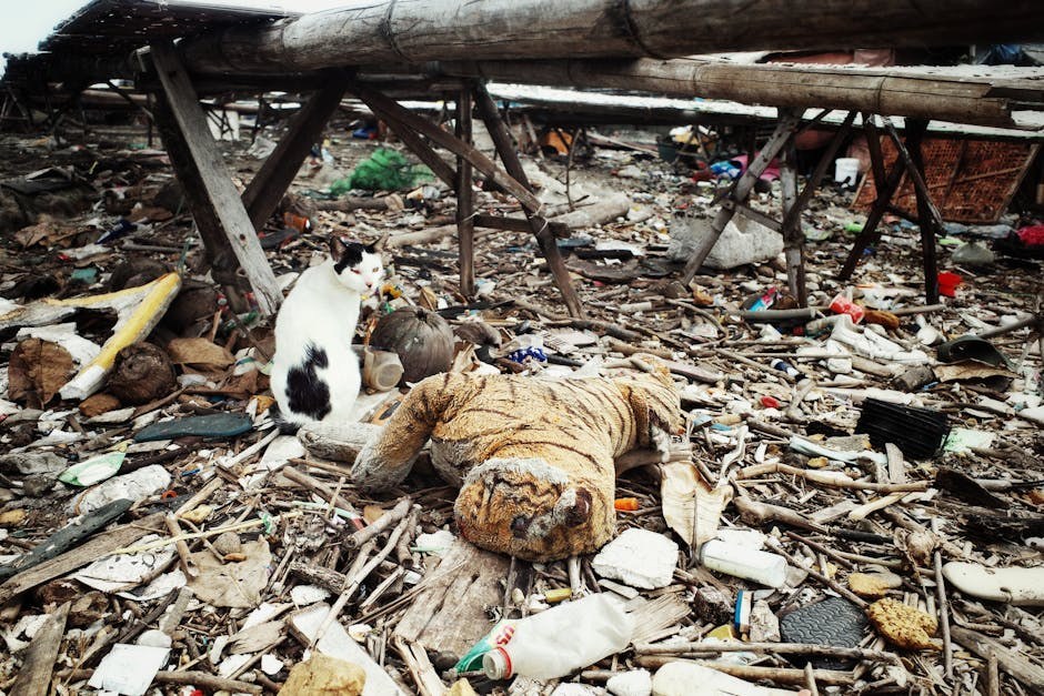 Smiju li psi jesti tempeh? Je li siguran za pse?