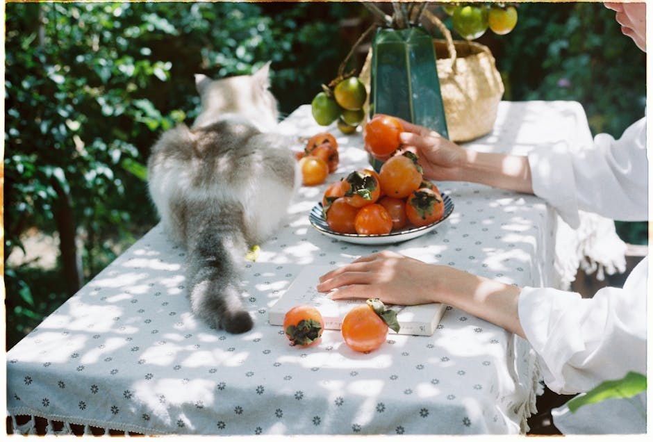 Smiju li psi jesti tempeh? Je li siguran za pse?