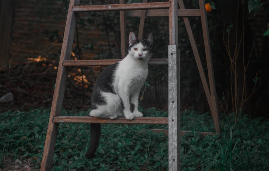 Nazalne dermatoze kod pasa: simptomi, uzroci i liječenje