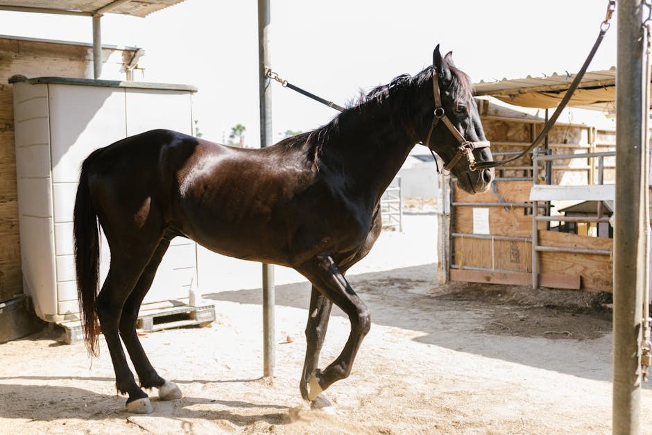 Intersticijska pneumonija kod pasa: simptomi, uzroci i liječenje