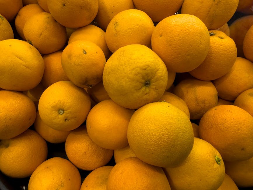 Smiju li psi jesti pâté ? Je li pašteta sigurna za pse?