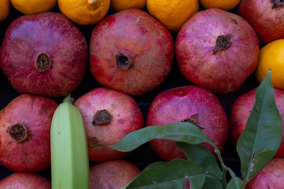 Simptomi estrusa kod pasa: znakovi, uzroci i liječenje