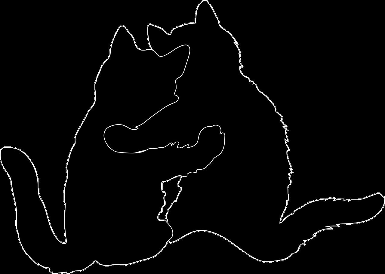 Toksičnost digoksina kod pasa: simptomi, uzroci i liječenje