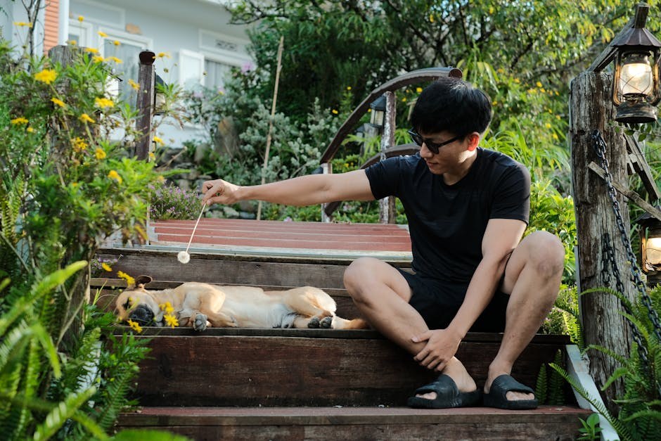 Ciste šarenice kod pasa: simptomi, uzroci i liječenje