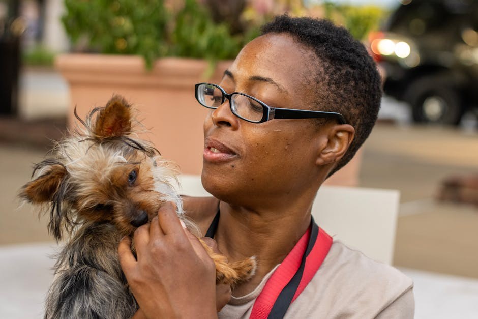 Struvitna urolitijaza kod pasa: simptomi, uzroci i liječenje