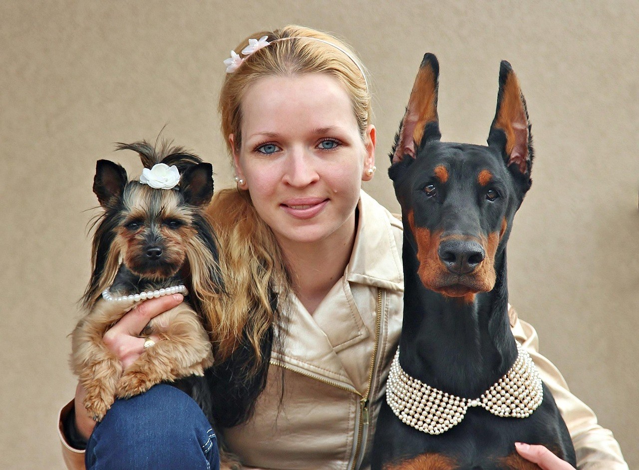 Akupresura za pse: dobrobiti i primjena