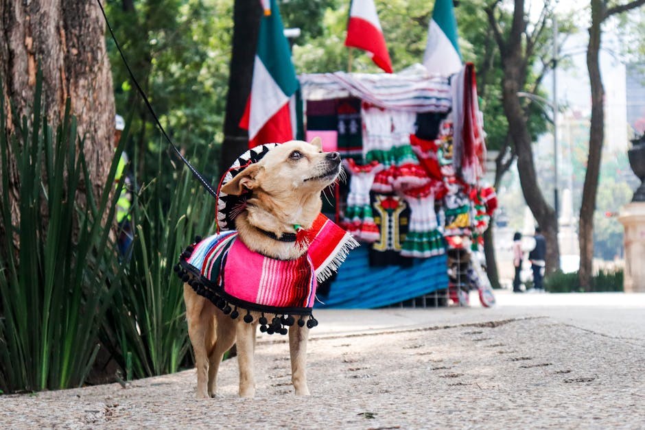 Degeneracija mrežnice kod pasa: simptomi, uzroci i liječenje