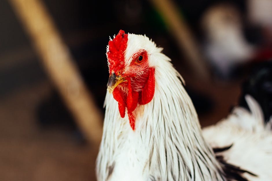 Povećanje čeljusne kosti kod pasa: simptomi, uzroci i liječenje