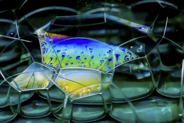 Hiperfosfatemija kod pasa: simptomi, uzroci i liječenje