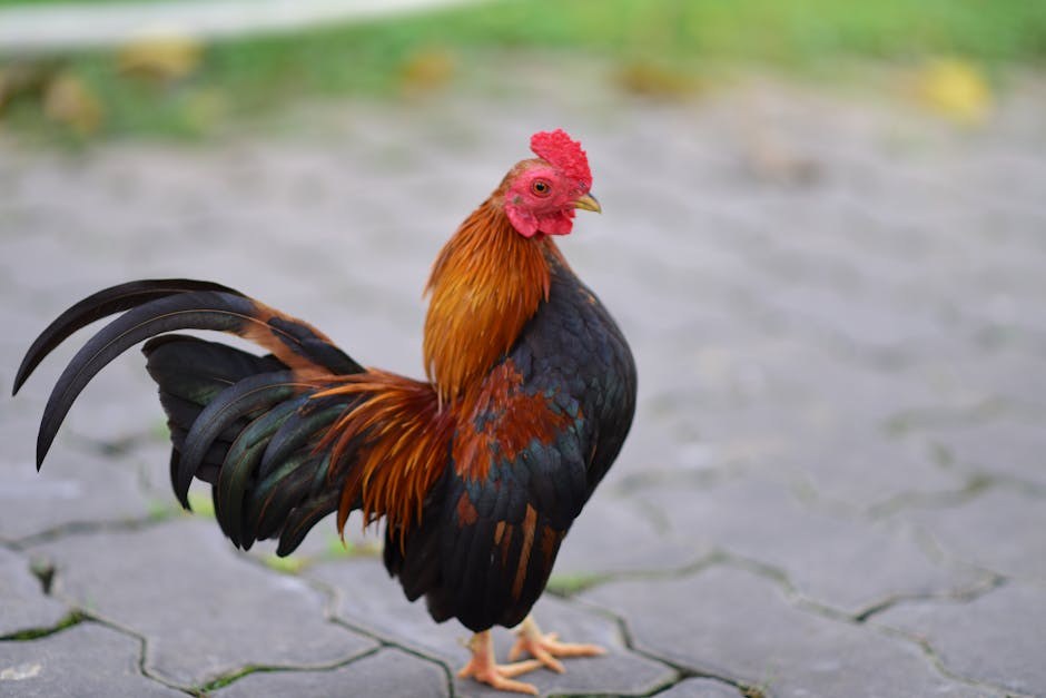 Crijevni tumor kod pasa: simptomi, uzroci i liječenje