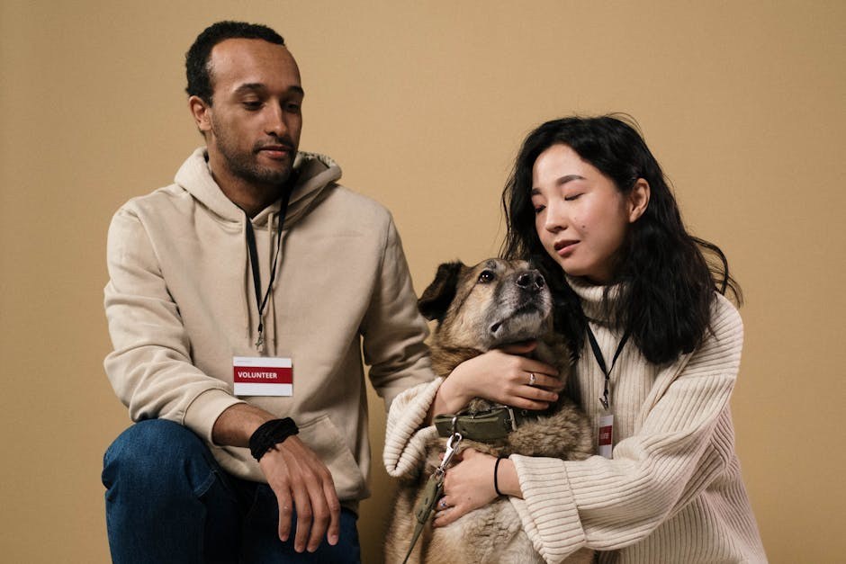 Problemi s filtracijom bubrega kod pasa: simptomi, uzroci i liječenje