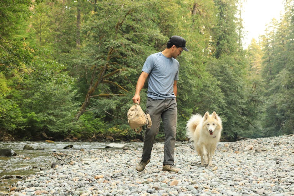 Key-Gaskellov sindrom kod pasa: simptomi, uzroci i liječenje