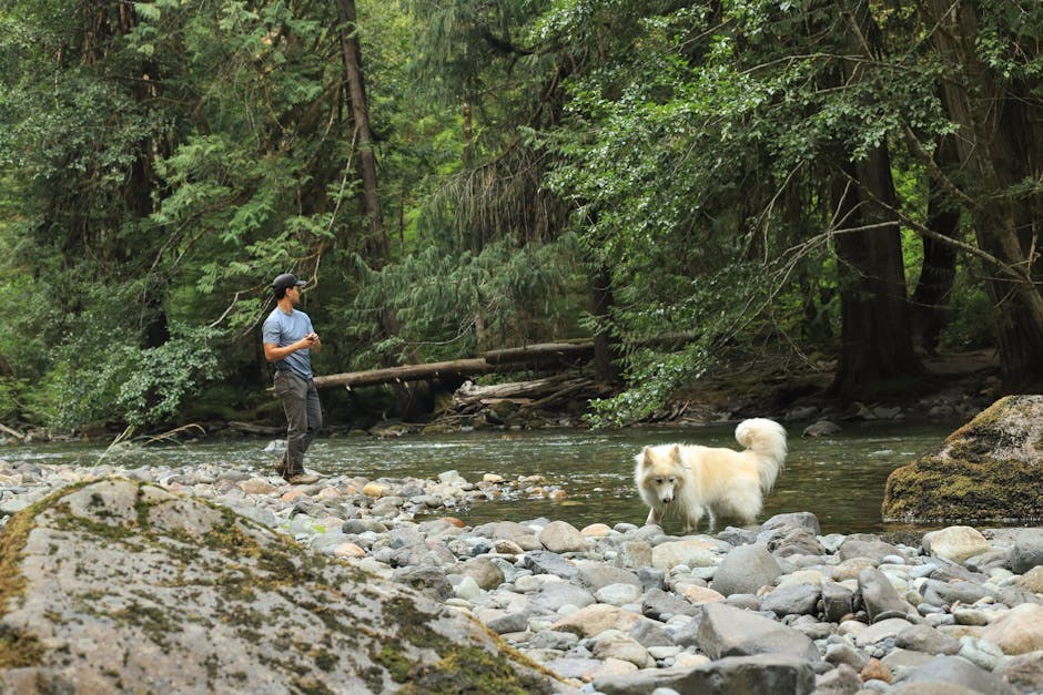 Pas spašen s više od 0,9 kg zapetljane dlake