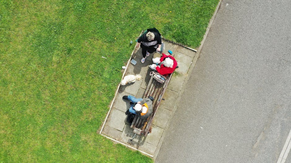 Srčani blok prvog stupnja kod pasa: simptomi, uzroci i liječenje