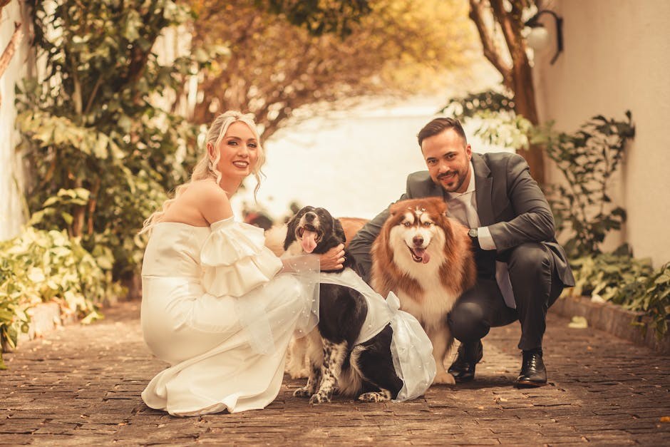 Kako odabrati poslastice i kosti za pse