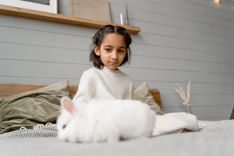 Blok desne grane snopa u pasa: simptomi, uzroci i liječenje