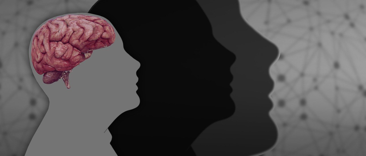 Srčani blok ili provodna usporenost (lijeva prednja) kod pasa: simptomi, uzroci i liječenje